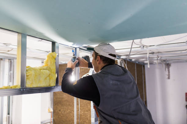 Best Insulation Maintenance and Repair in Oberlin, LA